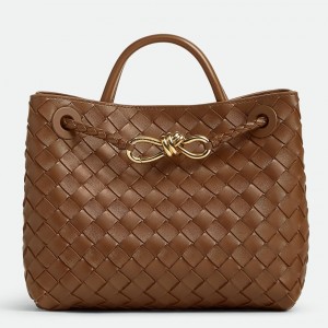 Bottega Veneta Andiamo Small Bag in Nocciola Intrecciato Lambskin