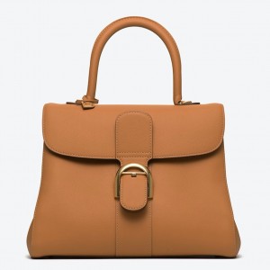 Delvaux Brillant MM Bag in Brown Rodeo Calf Leather