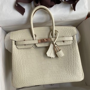 Hermes Birkin 25 Retourne Handmade Bag In Nata Matte Alligator Leather