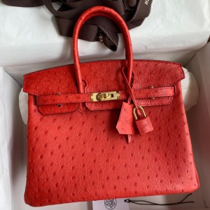 Hermes Birkin 25 Retourne Handmade Bag In Red Ostrich Leather