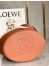 Loewe Medium Balloon Bucket Bag In Canvas