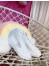 Prada White Cotton Canvas High-top Sneakers