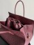 Bottega Veneta Barbara Bag in Barolo Intrecciato Lambskin