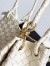 Bottega Veneta Parachute Medium Bag in Sea Salt Intrecciato Lambskin
