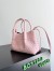 Bottega Veneta Pinacoteca Small Bag in Pink Intrecciato Calfskin