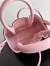 Bottega Veneta Pinacoteca Small Bag in Pink Intrecciato Calfskin