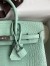 Hermes Birkin 25 Retourne Handmade Bag In Vert D'eau Matte Alligator Leather 