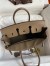 Hermes Birkin 25 Grizzly Bag in Taupe Veau Doblis and Swift Leather 