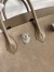 Hermes Birkin 25 Grizzly Bag in Taupe Veau Doblis and Swift Leather 