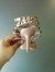 Valentino Poudre Rockstud Ankle Strap 65MM Patent Pumps
