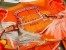 Hermes Orange Projets Carres Shawl 140