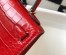 Hermes Kelly Mini II Bag In Red Embossed Crocodile Calfskin