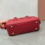 Miu Miu Arcadie Medium Bag in Red Leather
