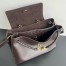 Bottega Veneta Ciao Ciao Medium Bag in Fondant Calfskin