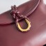 Bottega Veneta Small Liberta Bag in Barolo Calfskin