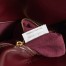 Bottega Veneta Medium Liberta Bag in Barolo Calfskin