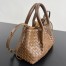 Bottega Veneta Pinacoteca Small Bag in Nocciola Intrecciato Calfskin
