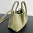 Bottega Veneta Pinacoteca Small Bag in Travertine Intrecciato Calfskin
