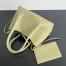 Bottega Veneta Pinacoteca Small Bag in Travertine Intrecciato Calfskin