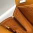 Hermes Halzan 25 Bag in Gold Clemence Leather
