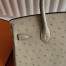 Hermes Birkin 25 Retourne Handmade Bag In Trench Ostrich Leather