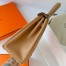 Hermes Kelly Colormatic 25 Handmade Bag in Chai Swifit Leather 