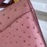 Hermes Terre Cutie Ostrich Constance 24cm Bag