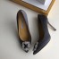 Manolo Blahnik Dark Grey Satin Hangisi 105mm Pumps 